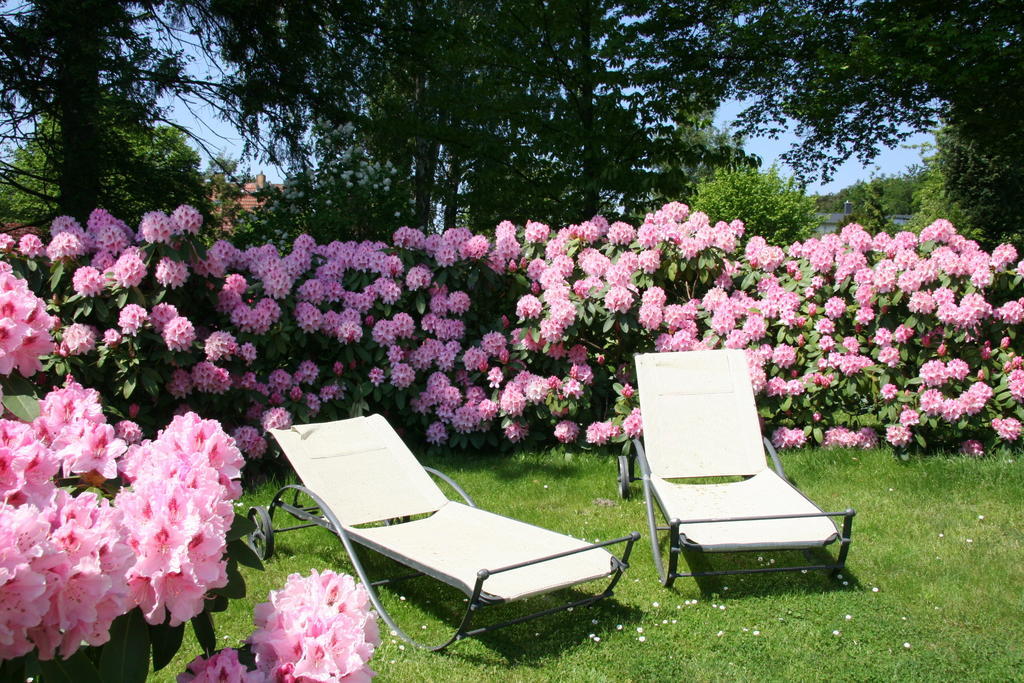 Pension Villa Edelweiss Sellin  외부 사진